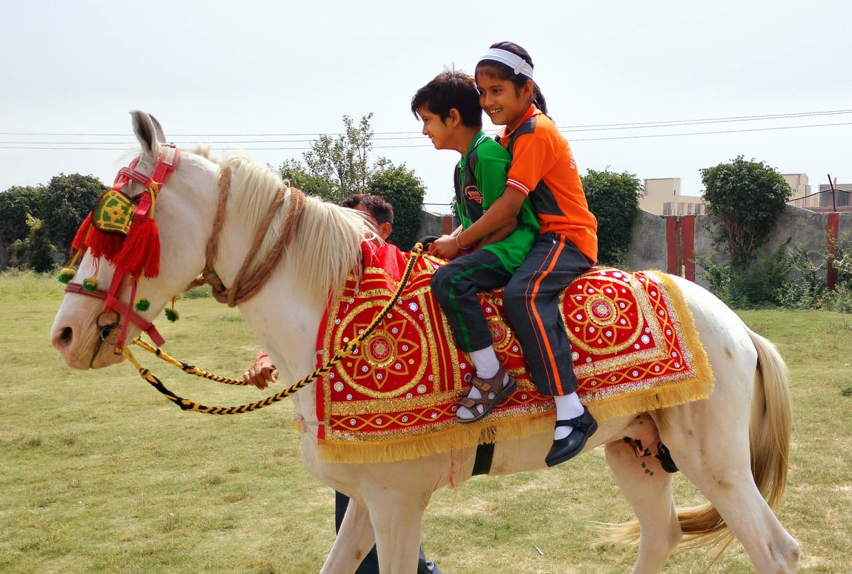 Horse riding training given to children