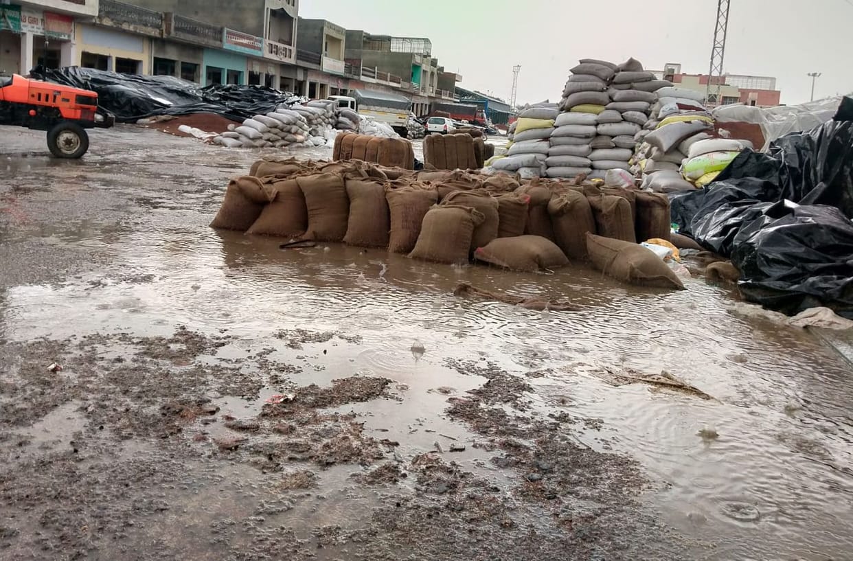 Hailstorm in Bahal, thousands of quintals of mustard lying in the open in the mandis got wet again
