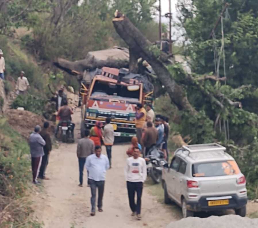 The tree fell on the canter due to the storm, the driver narrowly escaped