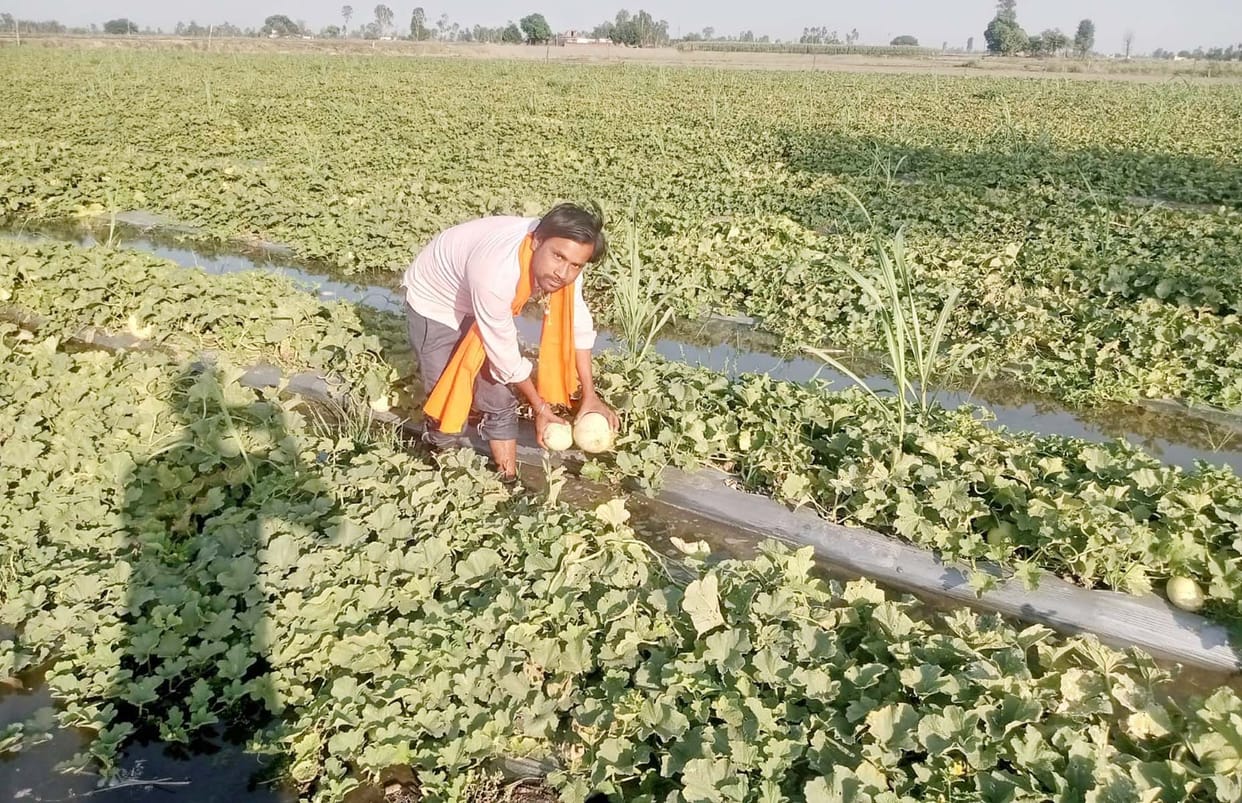 Puwayan's 'Gulla' creating ruckus in many states