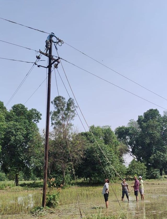 More than 50 trees and 37 electric poles were uprooted in the storm