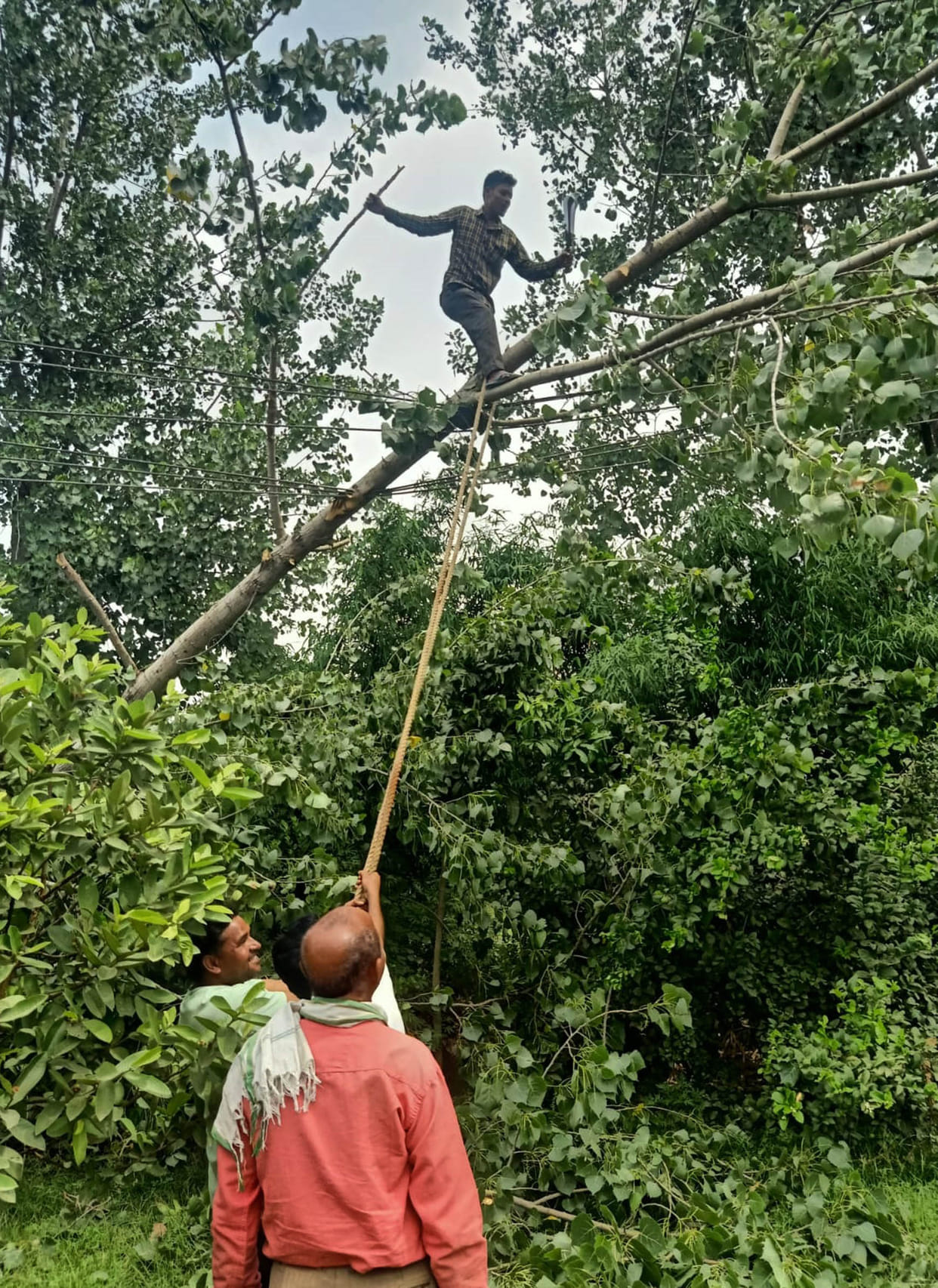 Darkness due to storm, 48 pillars broken, loss of 15 lakhs