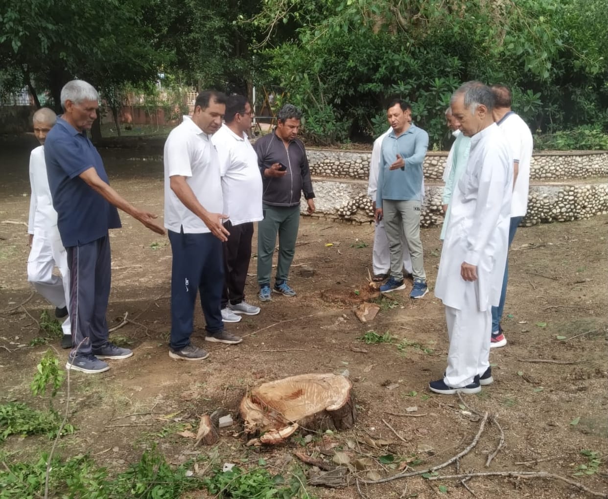 Green trees were cut instead of drought in City Park, people's uproar