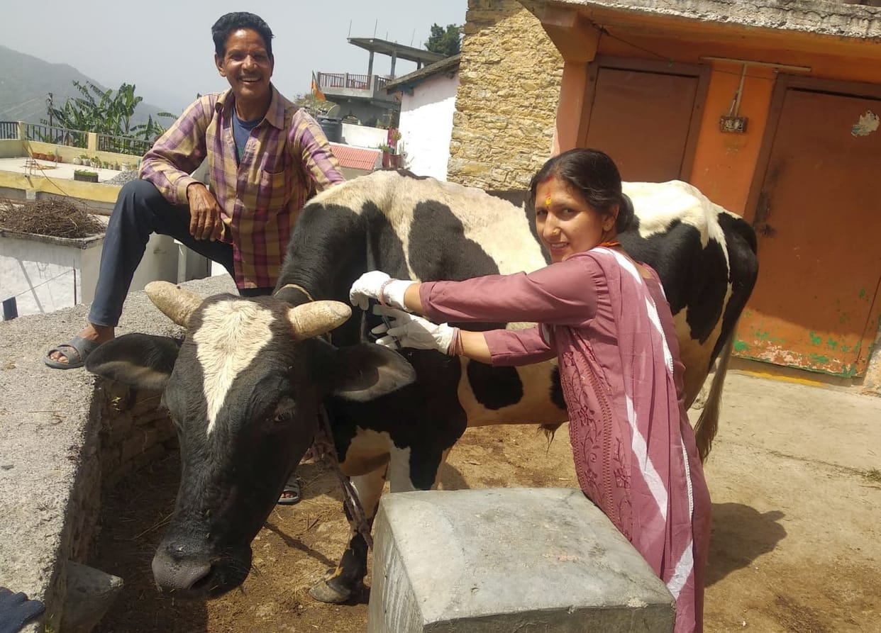 Vaccination of 40200 animals in frontier district