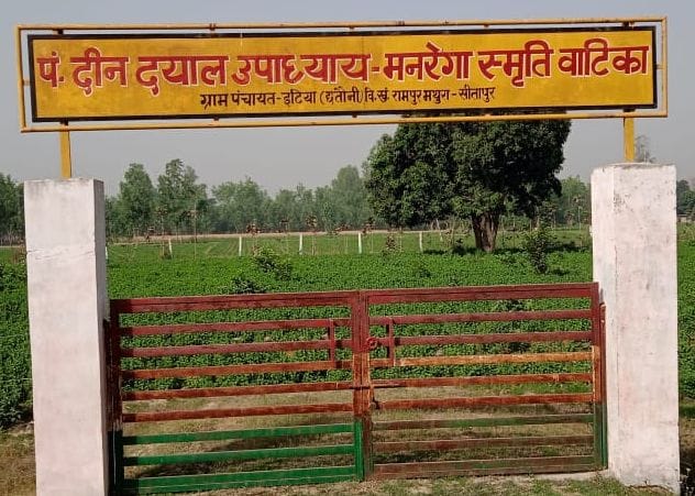 Pradhan got Mentha cultivation done in the garden made for the villagers