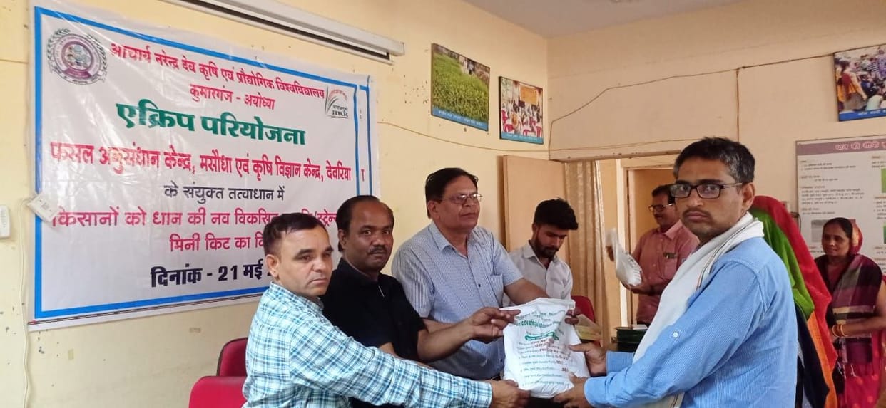 Information given on soil health management and cultivation of black salt paddy