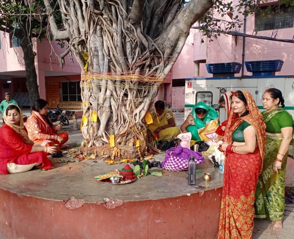 Women worshiped banyan tree for unbroken suhag