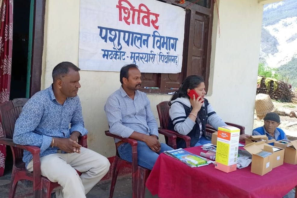 Milk production reduced by 500 liters due to lumpy disease in Pithoragarh