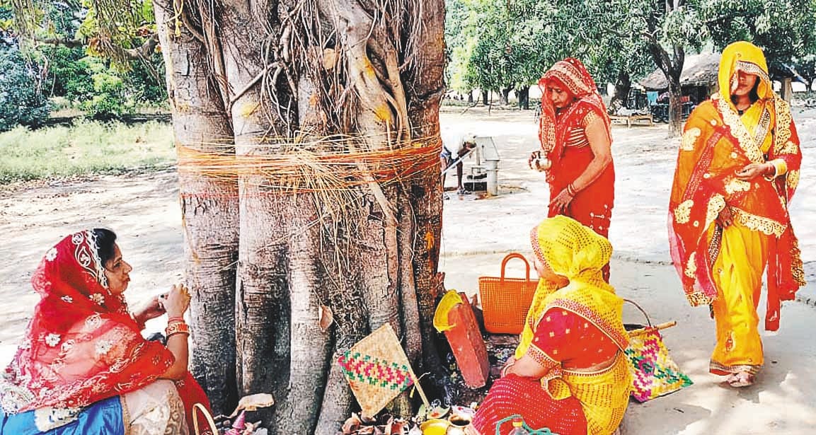 vat vrksh kee pooja