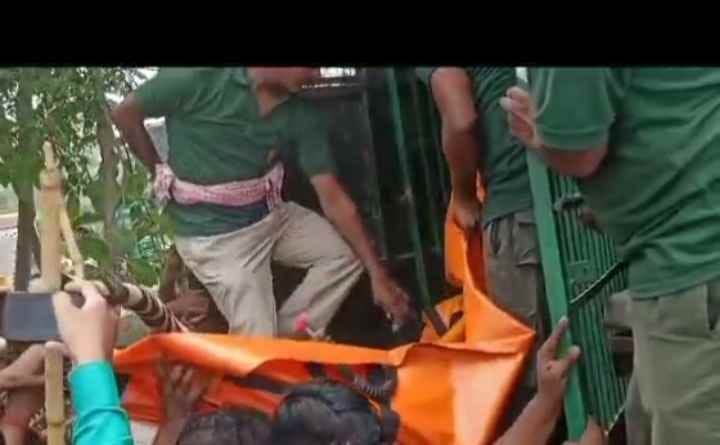 an woman scaped in tiger attack