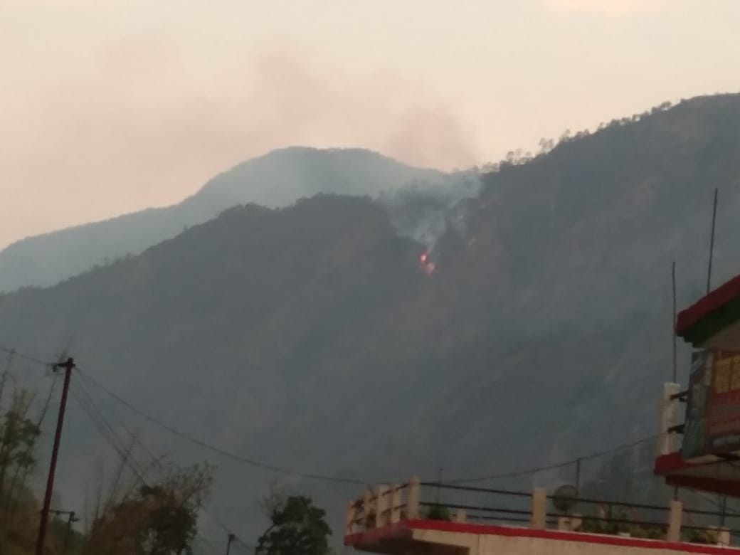 84 hectares of forest burnt in 79 incidents of fire
