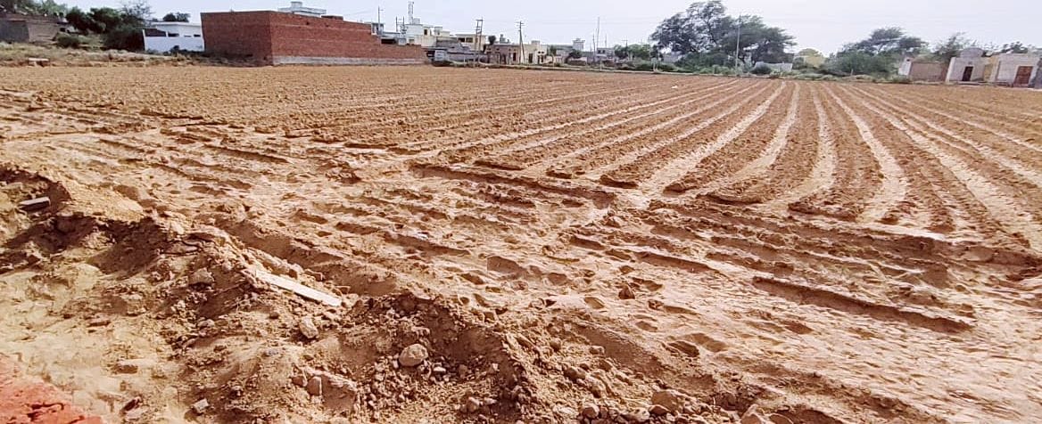 Soft-cotton crop started burning in the district