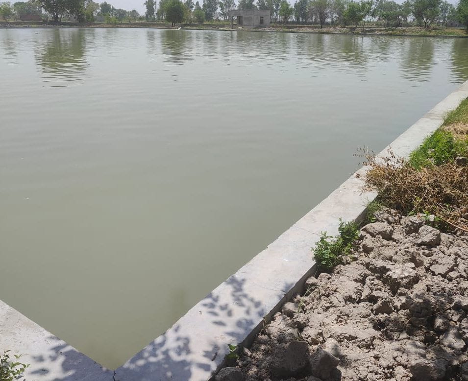 Additional canal water not found in Sunder Group, canals closed on Sunday evening