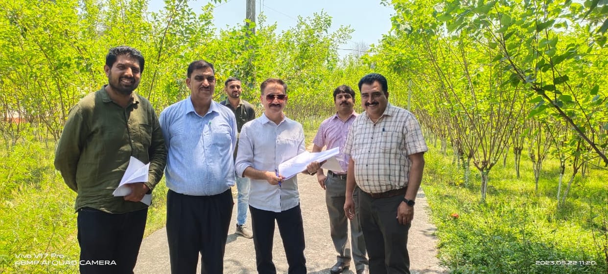 Officials of tourism department inspected four places in Nadaun