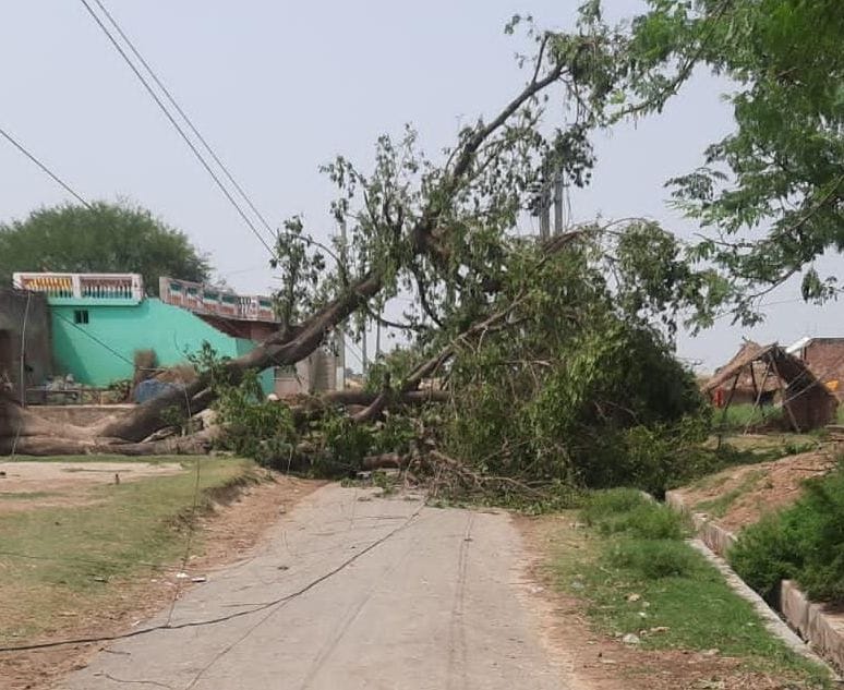 Trees fell due to strong storm and rain, electricity of 80 thousand consumers affected