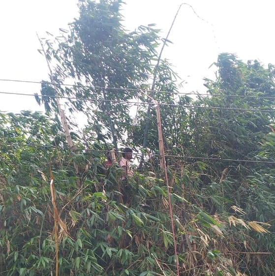 Electricity cut off for four hours due to storm