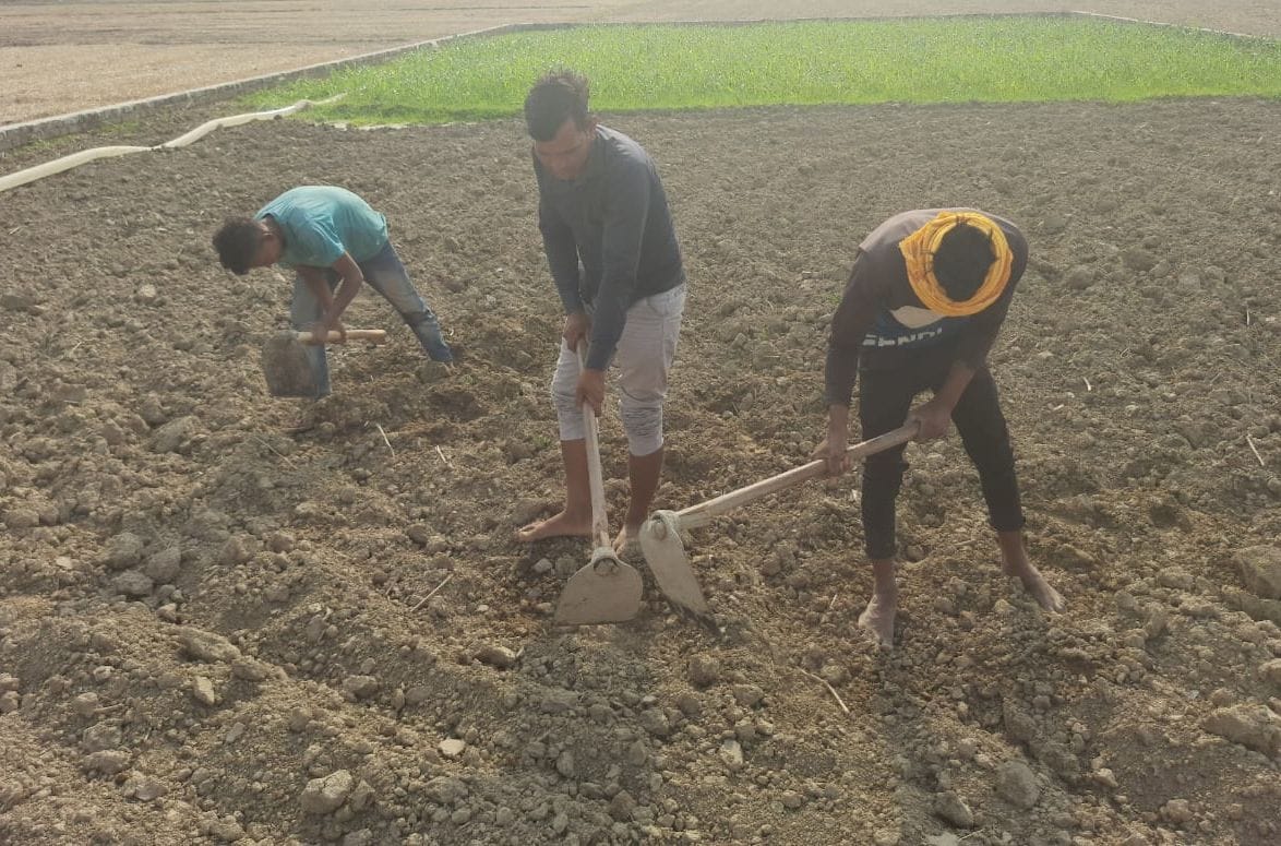 The weather became pleasant, farmers engaged in the preparation of nursery