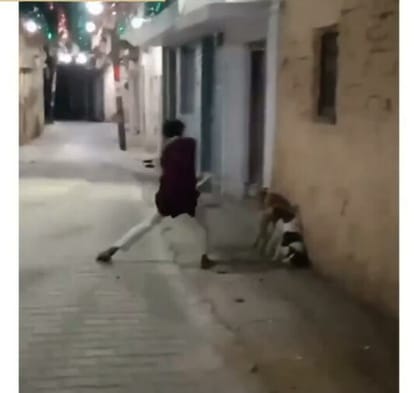 Dogs mercilessly lathicharged in Urs, video viral