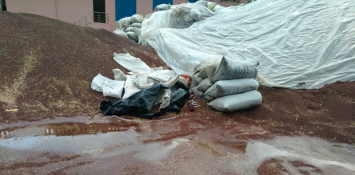 Rain with strong winds, trees broken, lightning struck