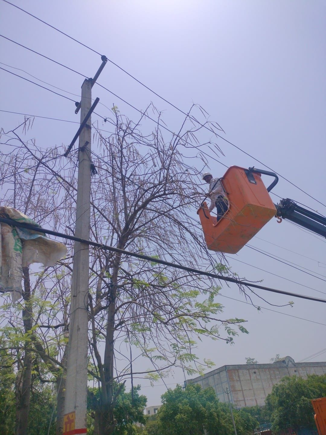 The strong wind in the night spoiled the power system, 569 complaints were received till noon