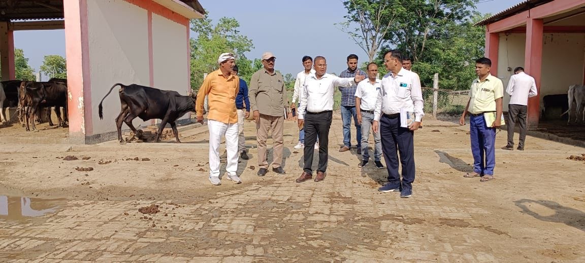 Adverse entry to CDO, ADO Panchayat upset after seeing mismanagement of Cow Protection Center