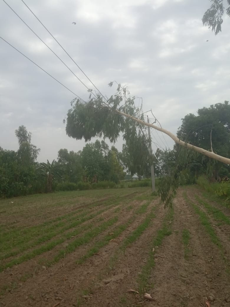 Electricity system faltered due to storm, crisis from city to countryside