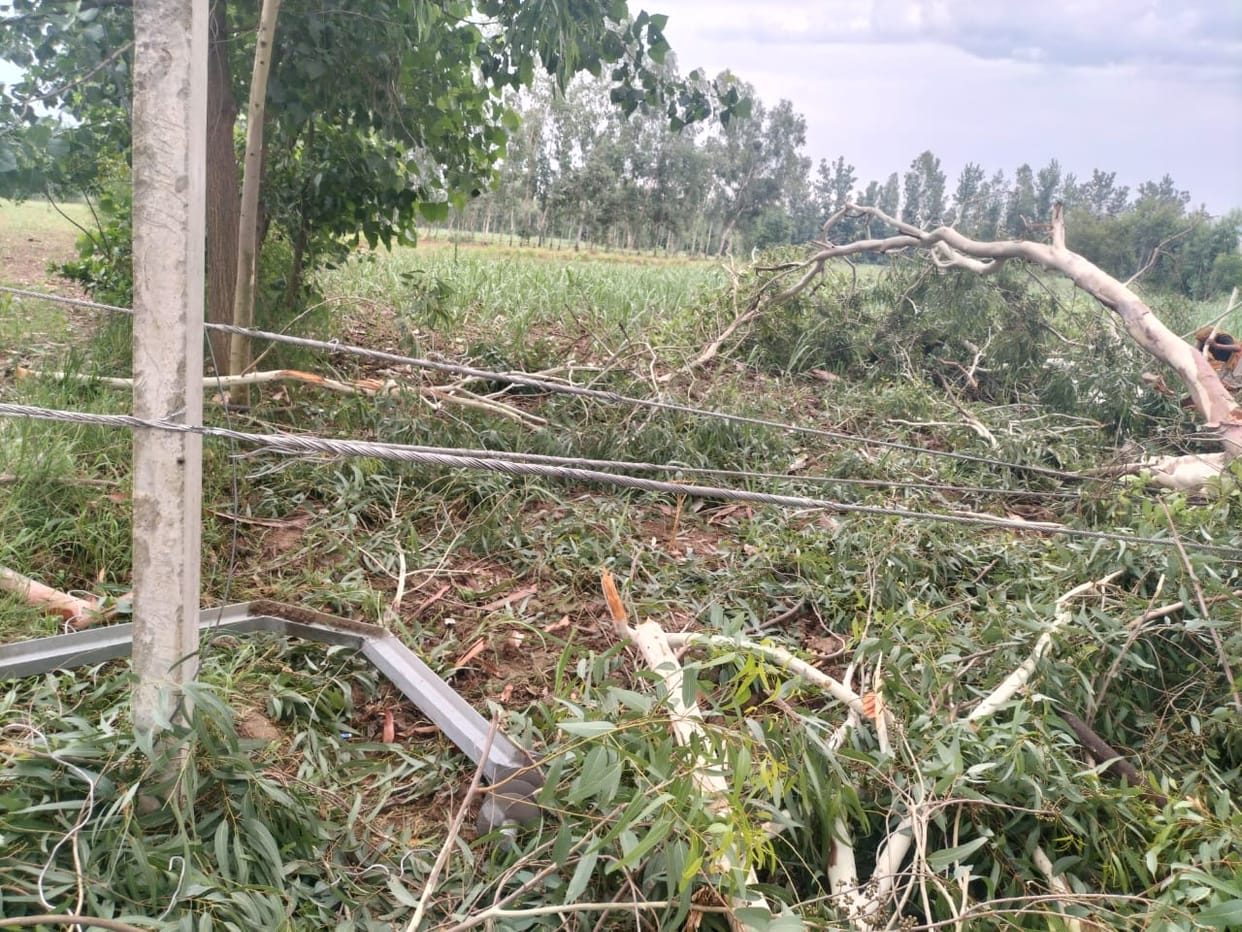 Electricity supply stalled due to storm in Dhampur, drinking water supply disrupted