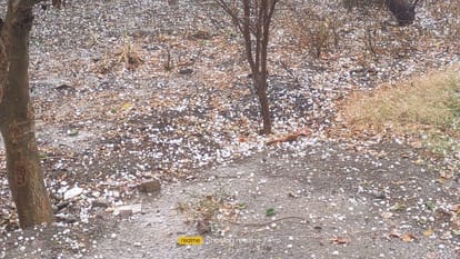 Weather will change from today in Utatr Pradesh.