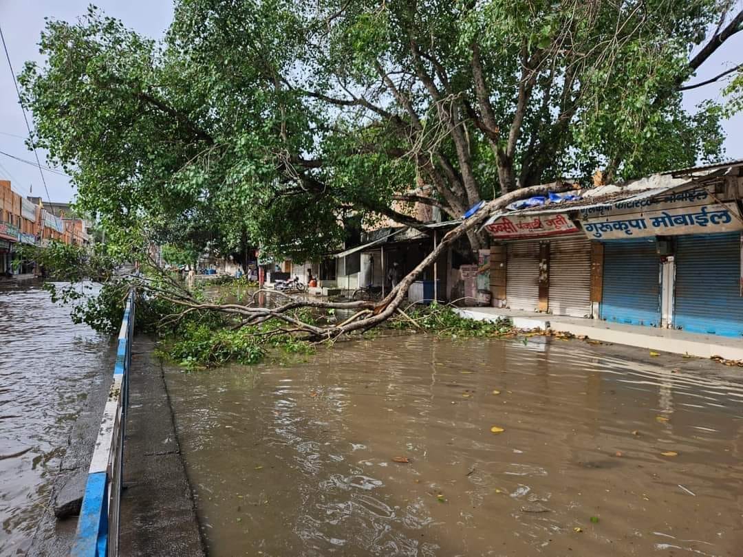Storm came with rain: 3500 trees and one thousand electric poles fell in the district