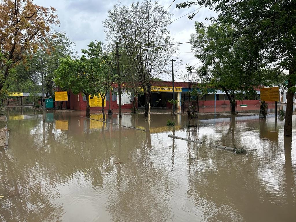 Water entered government offices due to 25 mm rain, 500 quintals of mustard spoiled