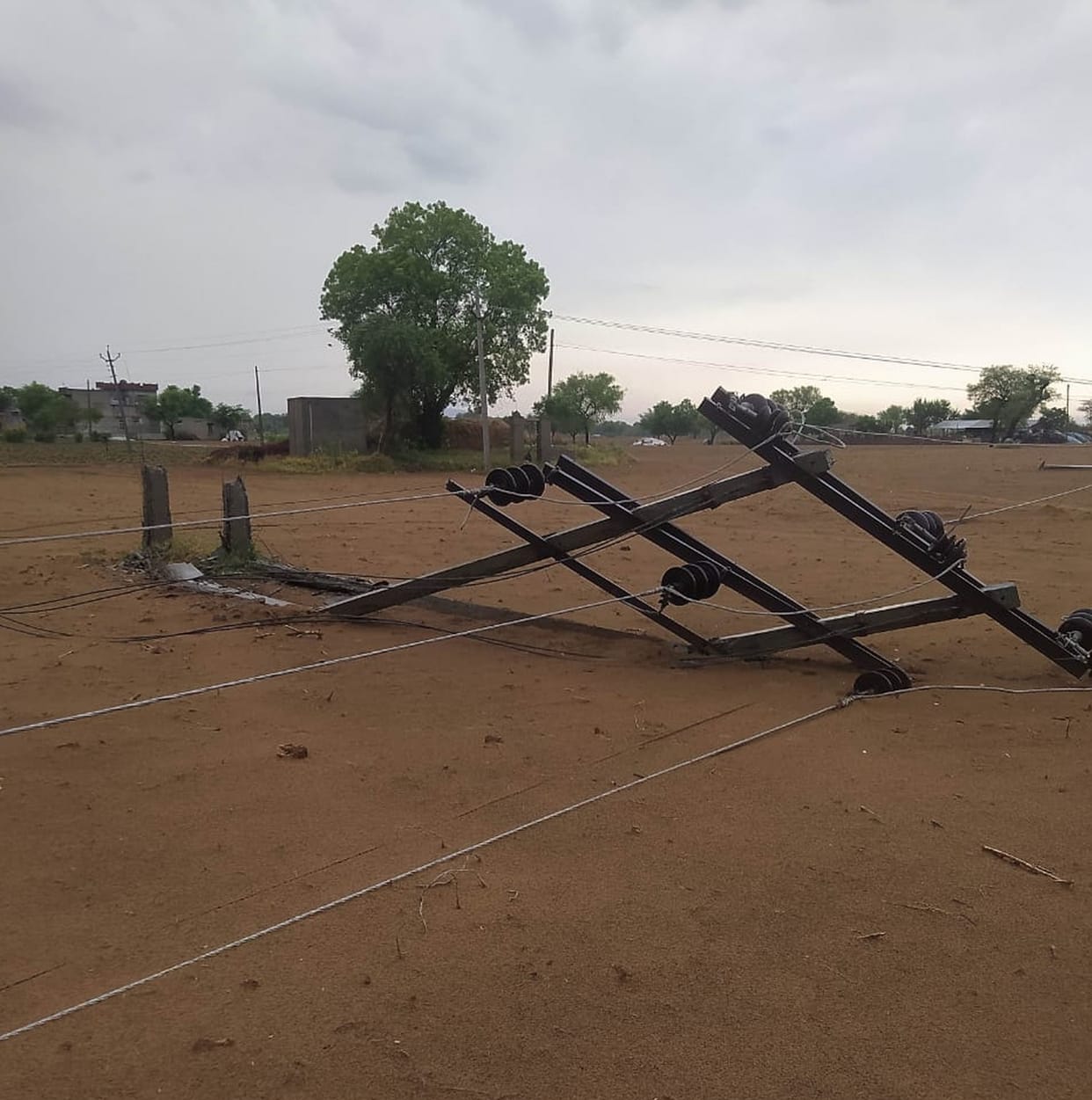 56 electric poles and 65 trees fell in the storm and rain