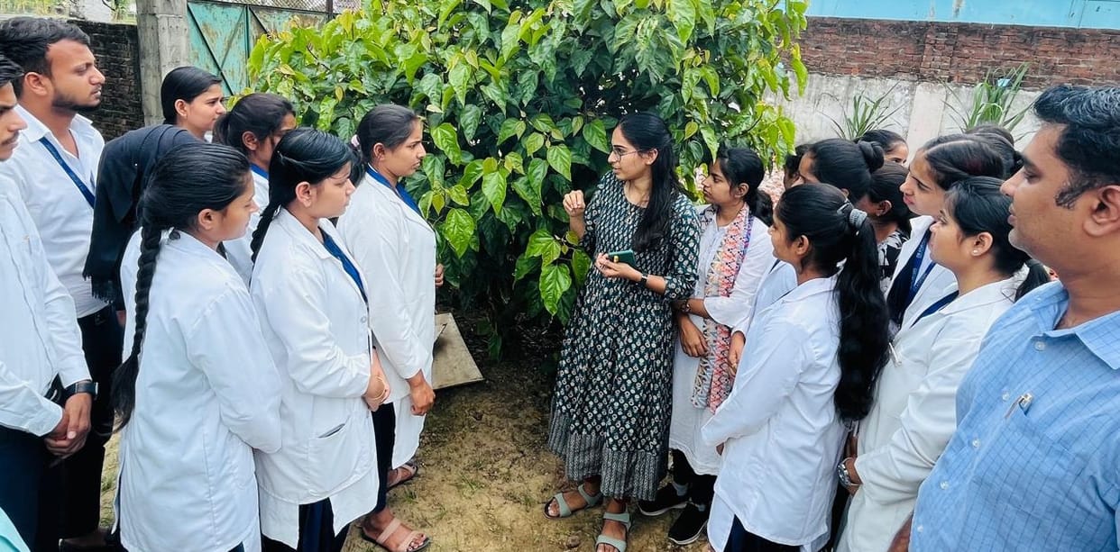 Explain the properties of medicinal plants to the students