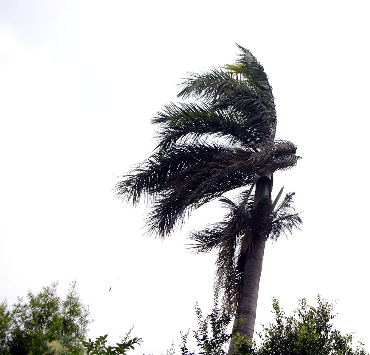 Light rain after strong storm, temperature stable
