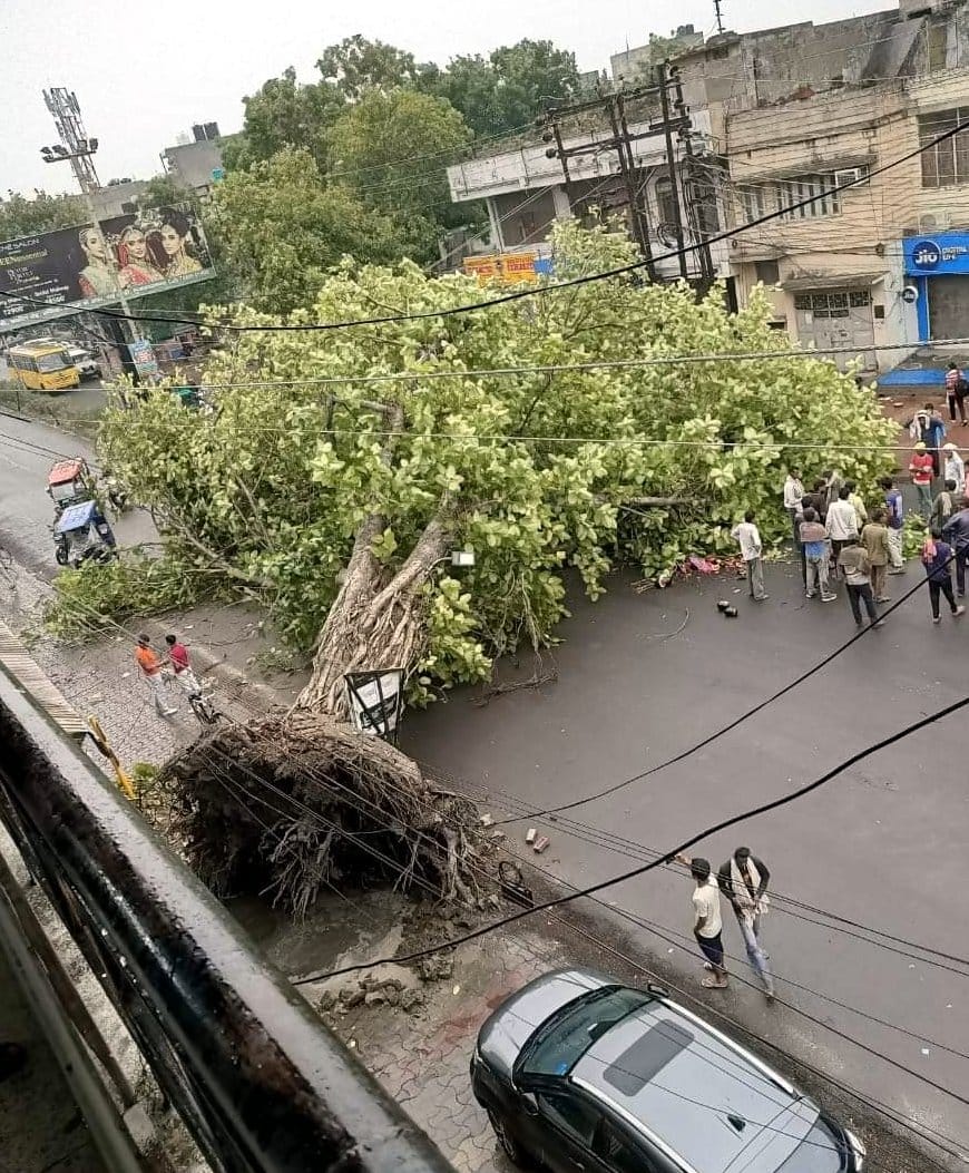 Trees uprooted in storm, power supply stalled