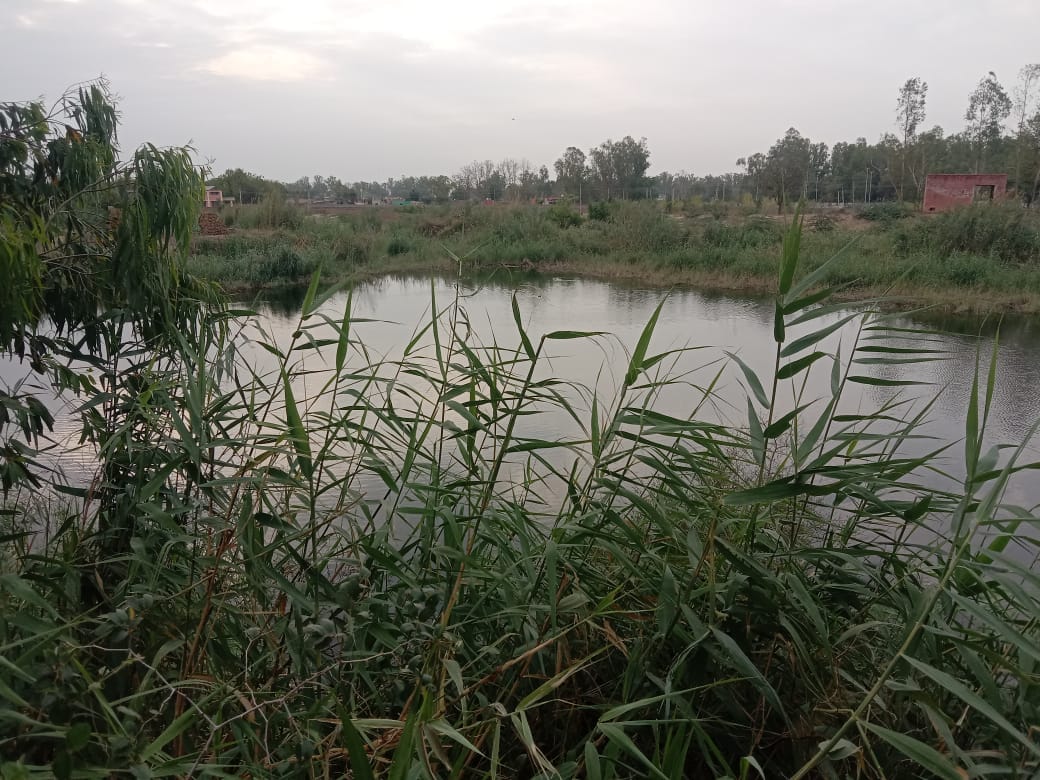 Two km long drain will be built for drainage in village Badopal