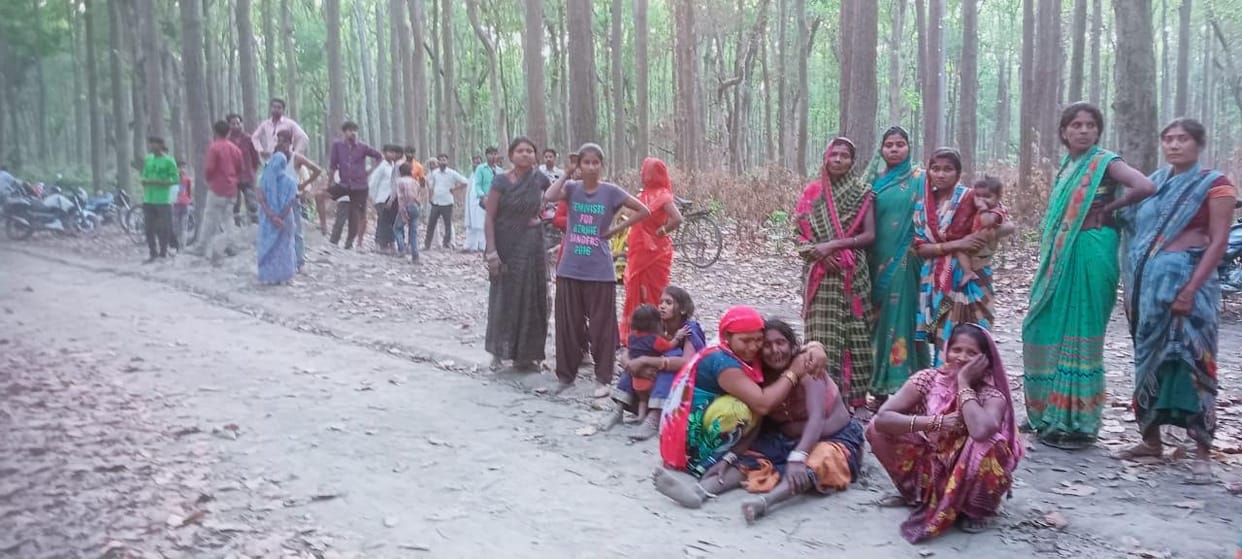 dead body found in the forest
