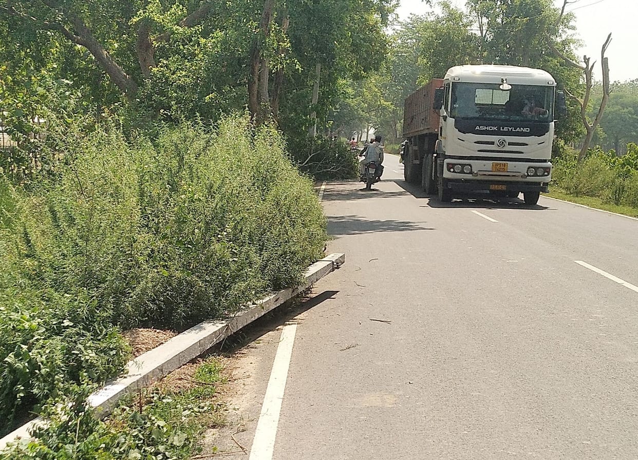 Electric pole fell on the roadside, accident may happen