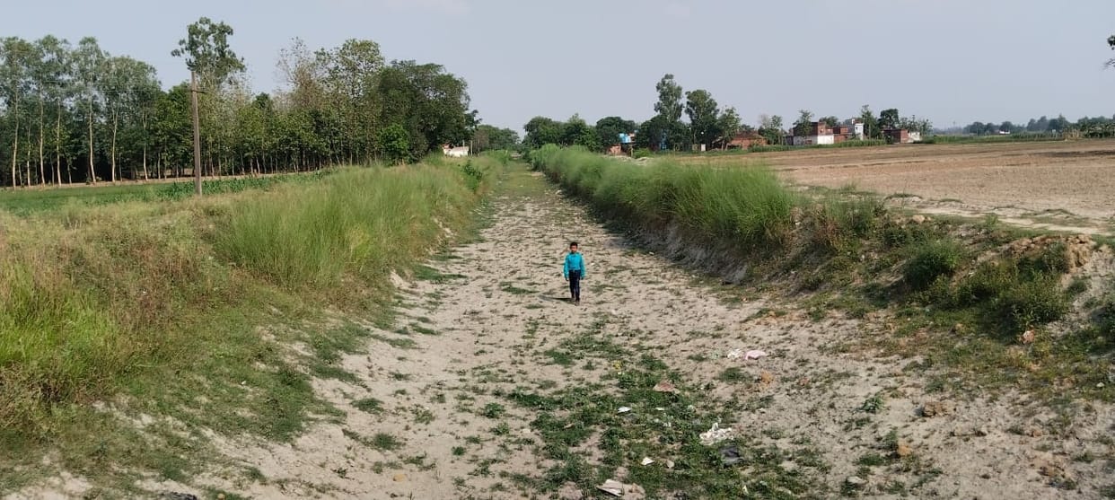 Farmers are not able to put paddy nursery