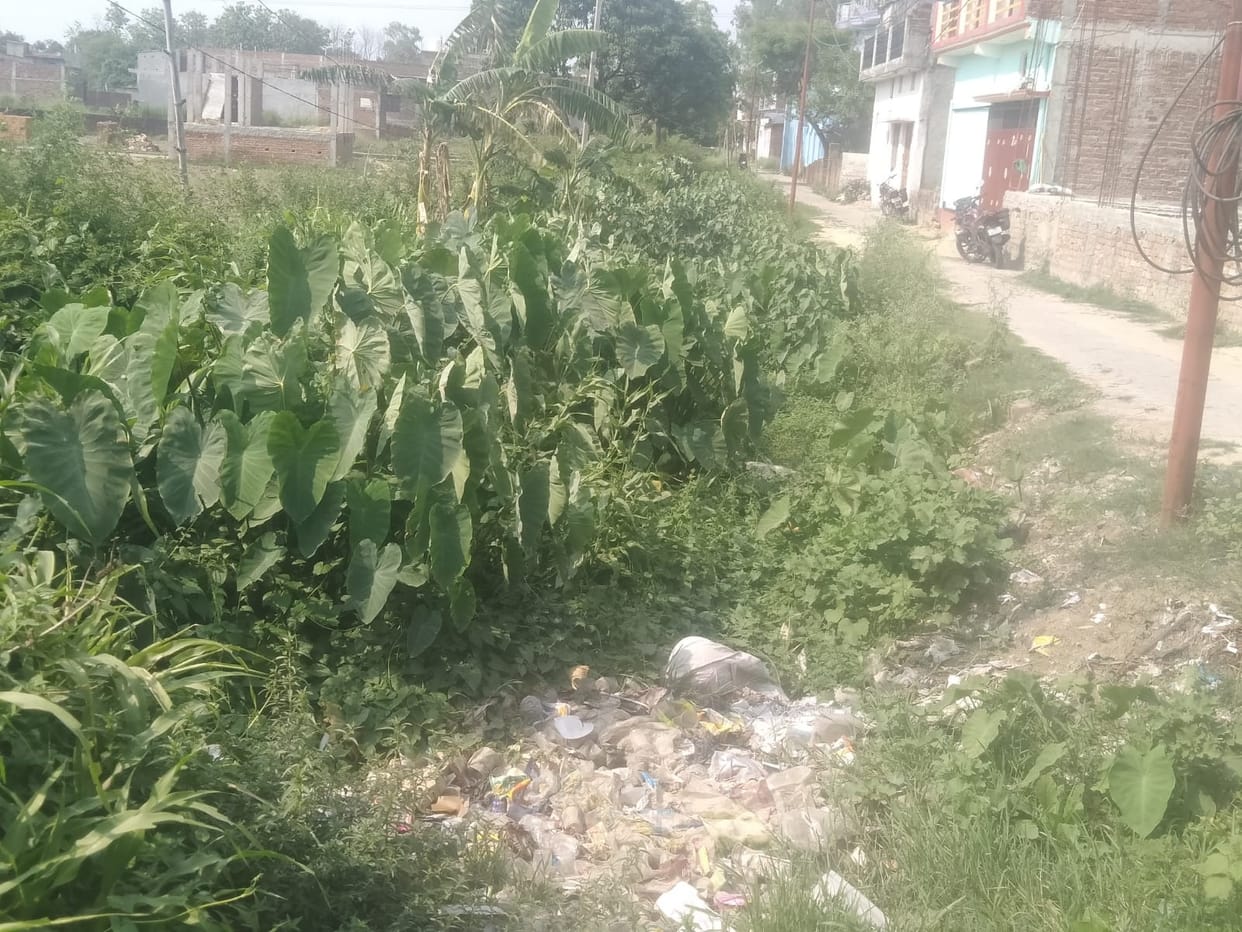 Weeds grow in the drain, the drain is also bad