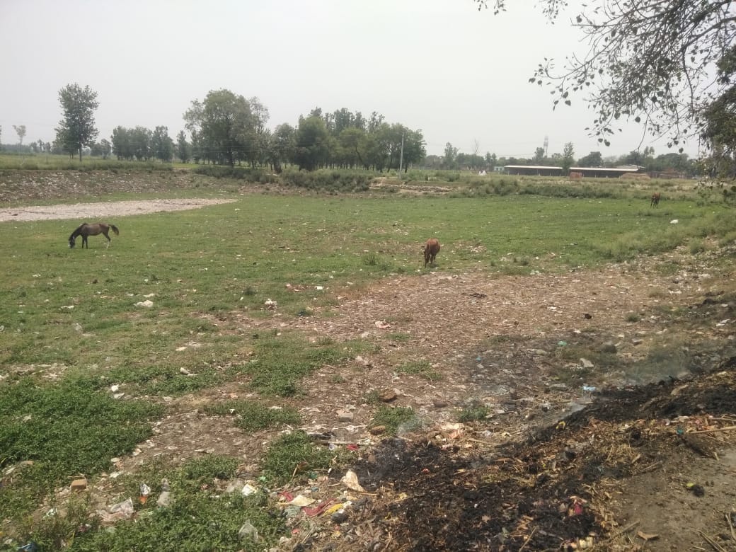 Received only one and a half lakh for the beautification of the pond