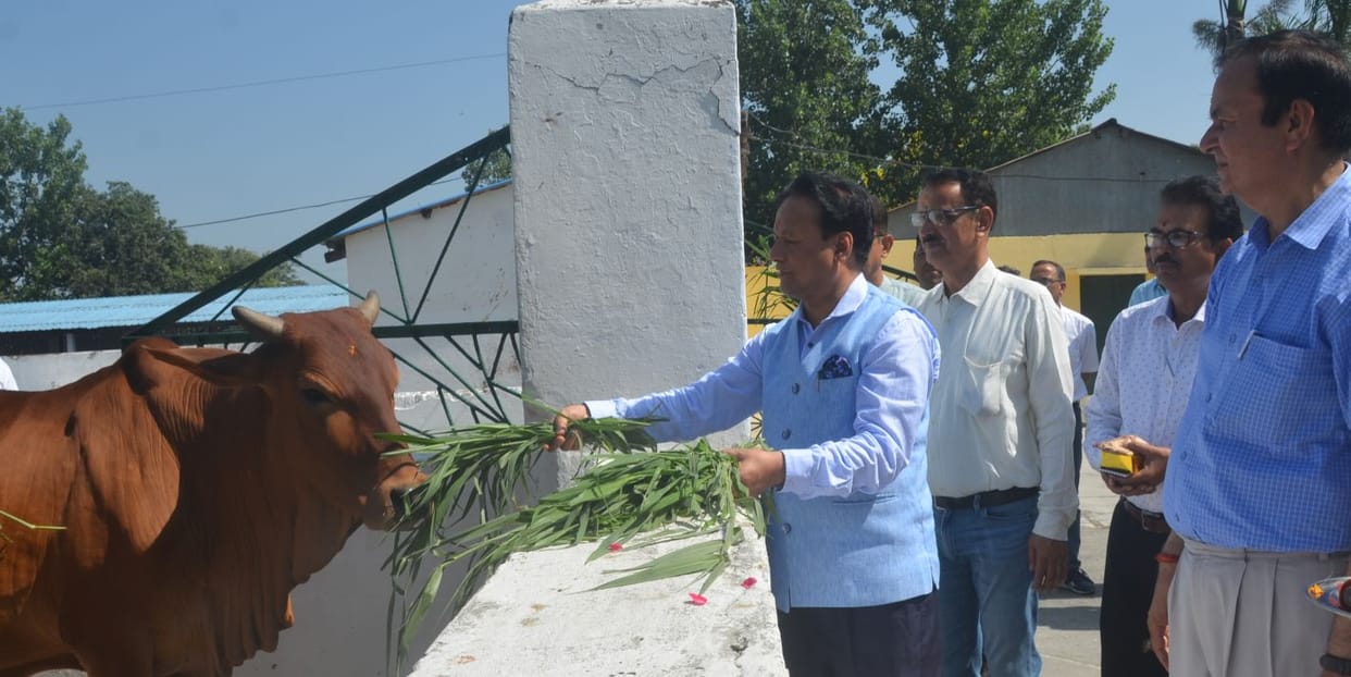 India ranks first in milk production: Vice Chancellor
