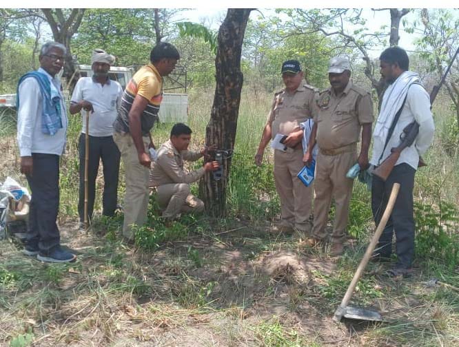 10 pairs of cameras installed to locate the tiger