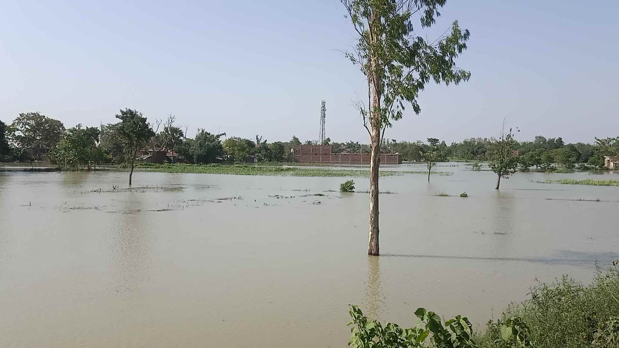 nier broke field full of water