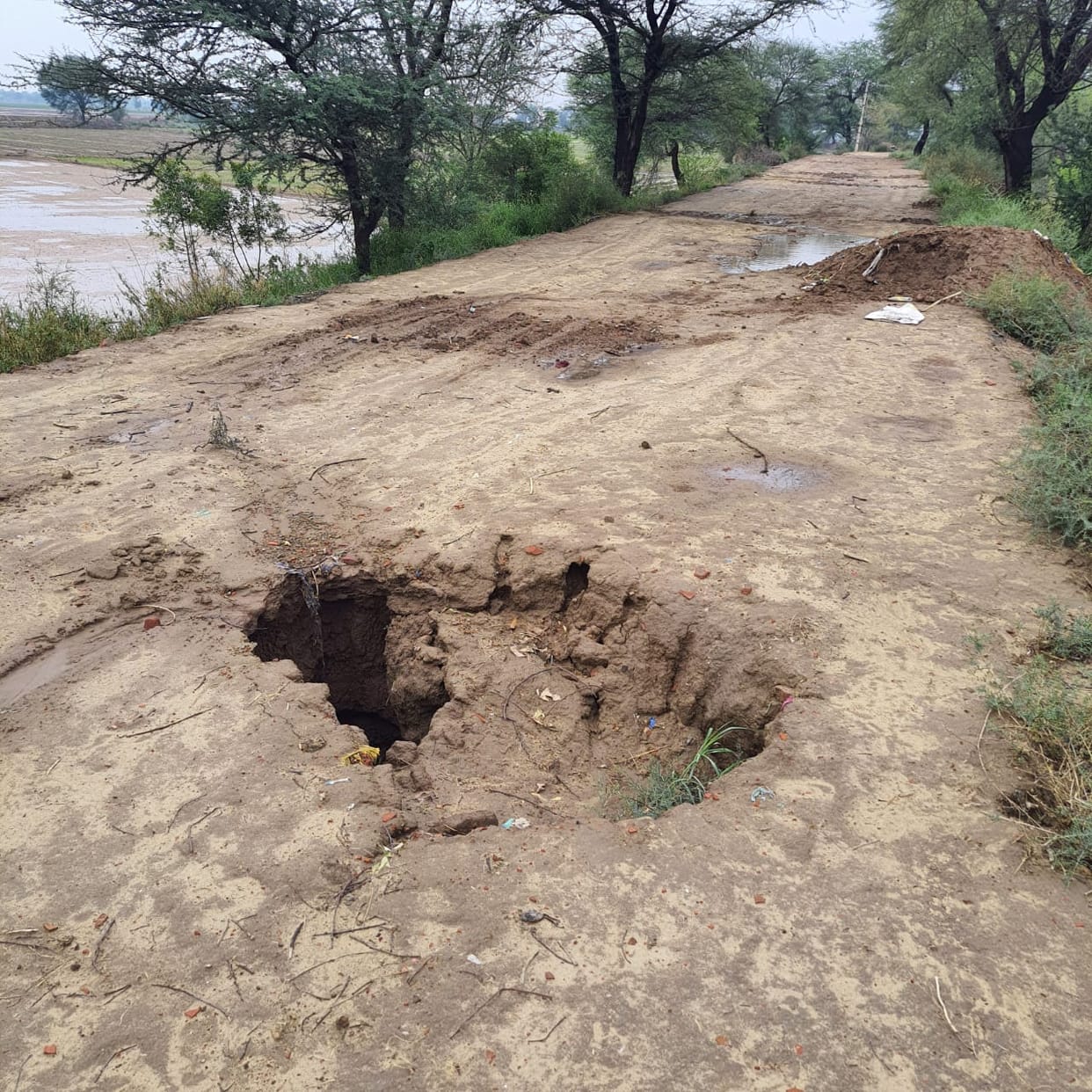 Ghaggar dam hollow after rain, 24 teams of irrigation department will repair it