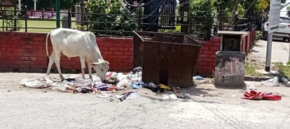 The pace of development of the city will be decided from the first meeting of the municipality