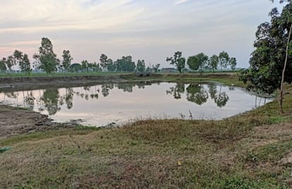 342 ponds of the district will be developed as Amrit Sarovar