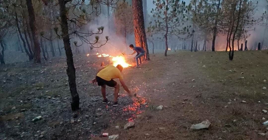 Yuvak Mangal Dal members put out the fire in the forest
