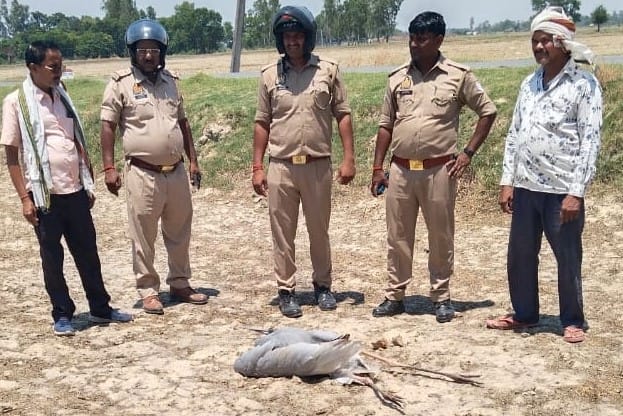 Accused of killing Saras bird on three people of ninth village