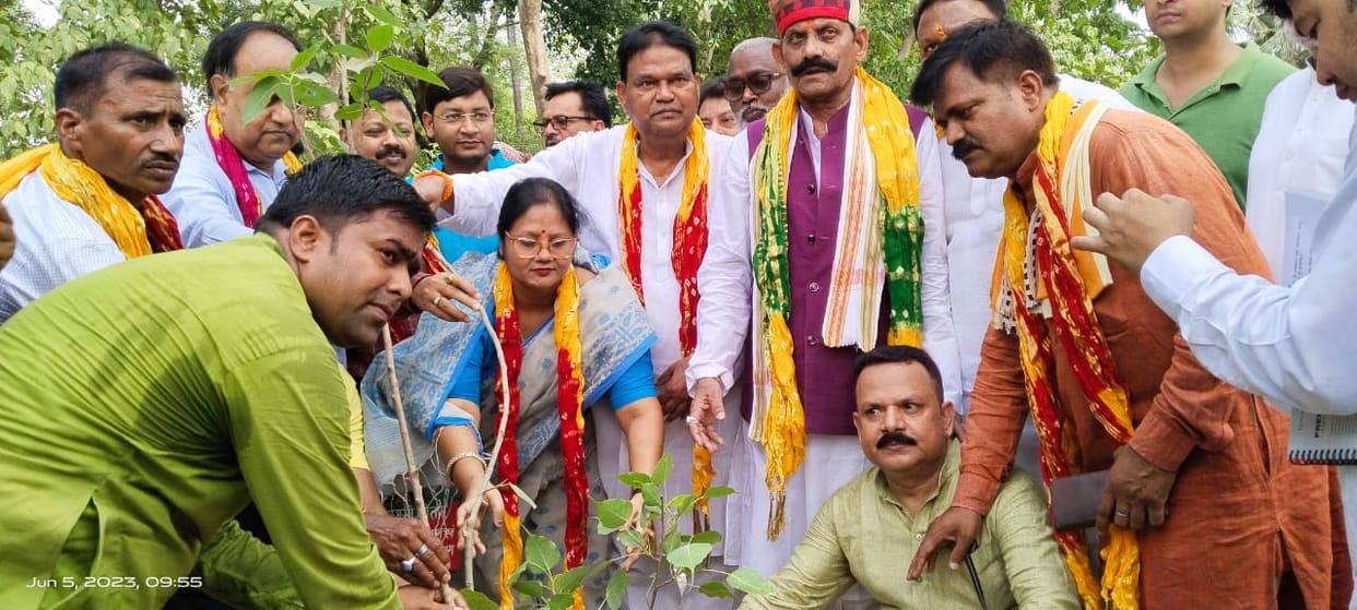 Plantation is necessary for environment and land conservation: Vijay Laxmi Gautam