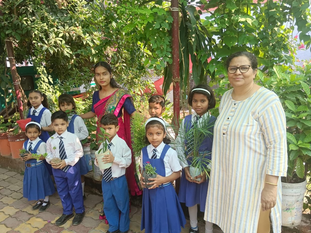 tree plantation